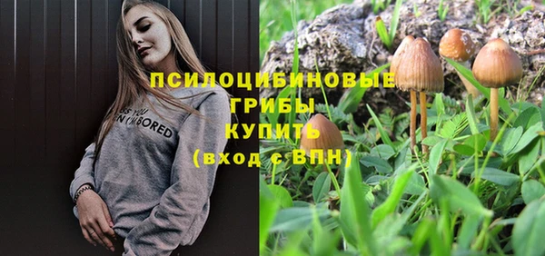 кристаллы Бородино