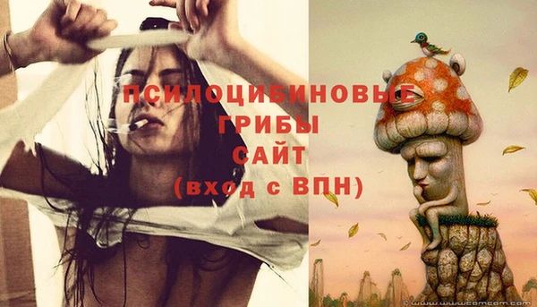 прущая мука Бронницы