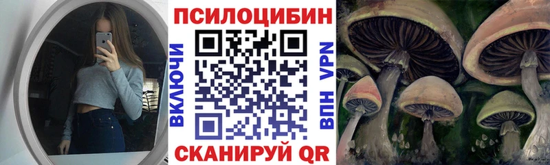 Псилоцибиновые грибы ЛСД  Купить  Геленджик 